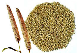 Green Millet - Bajra