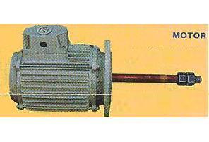 Cooling Tower Motors