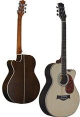 Rosewood Guitar 40'