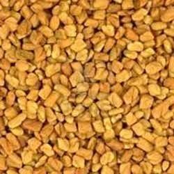 Fenugreek