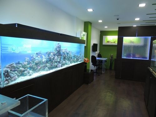 Office Aquarium - Tranquil Design for Executive Spaces | Soothing Environments for Enhanced Focus and Customer Satisfaction