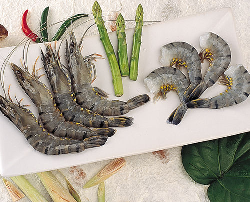 Raw Black Tiger Shrimp (Shellon)