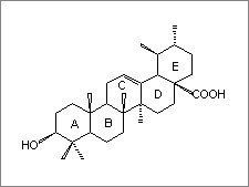 Ursolic Acid - 95% Pure Pentacyclic Triterpenoid | Anti-Inflammatory, Hepatoprotective, Multi-Sourced Herbal Extract