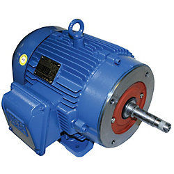 WEG Close-Coupled Pump Motor