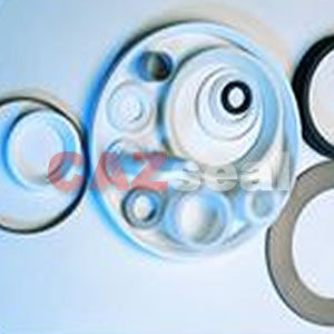 CAZ 450 PTFE Gasket - Virgin PTFE, Filler Options Including Glass Fiber and Carbon Fiber | Exceptional Chemical Resistance, Low Friction Coefficient, Thermal Stability from -180 to +260Â°C