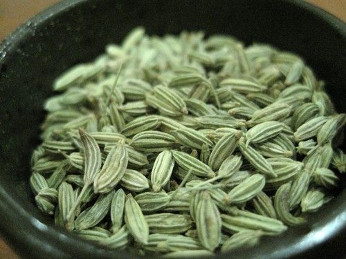 Indian Spice Fennel