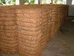 Coir Fiber - Golden Yellow & Brown, Moisture 15% Max, Purity Less Than 3% | High Quality Natural Fiber for Diverse Applications