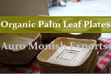 Organic Palm Leaf Plates