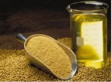 Soybean Oil - Premium Quality Extracted from Superior Soya | Affordable and Accessible for Diverse Uses