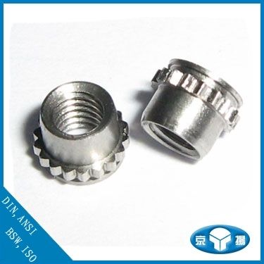 Self-Clinching Fastener