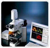 Confocal Laser Scanning Microscopes C1 Plus