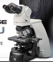 Eclipse Ni-U Microscope