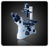 Inverted Microscope TS100