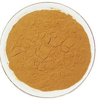 Green Tea Extract Powder