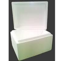 Thermocol Ice Boxes