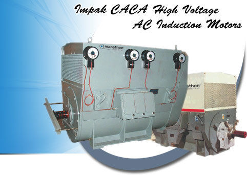 CACA High Voltage AC Induction Motors