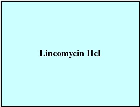 Brown Lincomycin Hcl