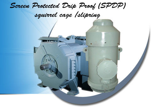 SPDP Squirrel Cage Motors