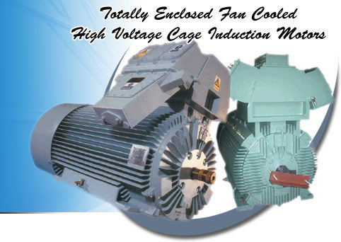 TEFC High Voltage Motors