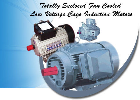 TEFC Low Voltage Cage Induction Motors