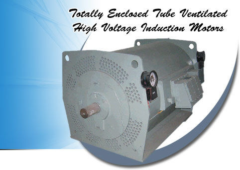 Tetv High Voltage Induction Motors