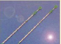 Thoracic Trocar Catheter