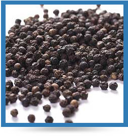 Black Pepper