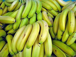 Fresh Bananas - Premium Quality Fruit , Rich in Natural Fiber and Energy Boosting Benefits