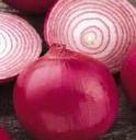 Onion