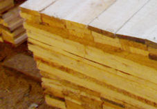 New Zealand Pine Wood