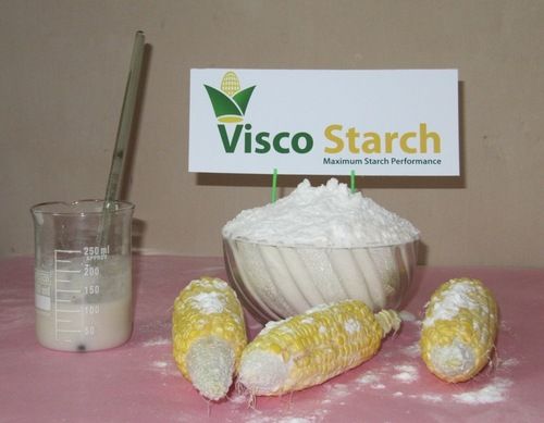 Pregelatinized Maize Starch