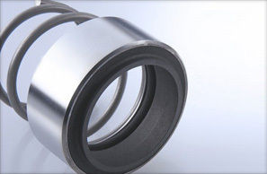 Mechanical Seal (B-120N)