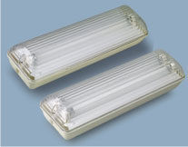 Non Maintained Weather Proof Lights (PEL 108 NM/WP (2))