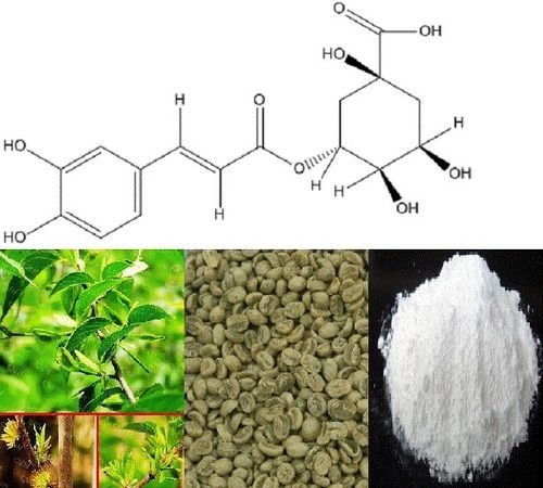 Chlorogenic Acid