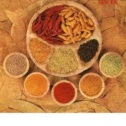 Indian Ground Spices