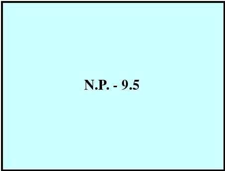 N.P.-9.5