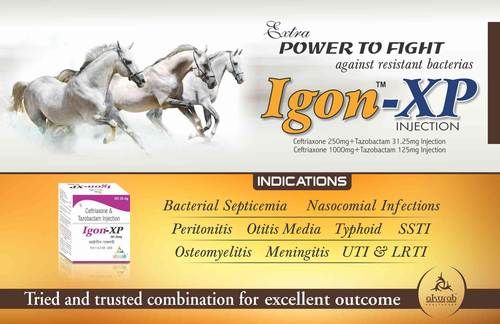 Igon Xp 231.25 Injection