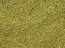 Coriander Seeds - 100% Natural, Green Color | Rich Garden-Fresh Aroma, Distinct Curry Flavor, Cooling Spice