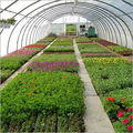 Horticulture Gardening Services 