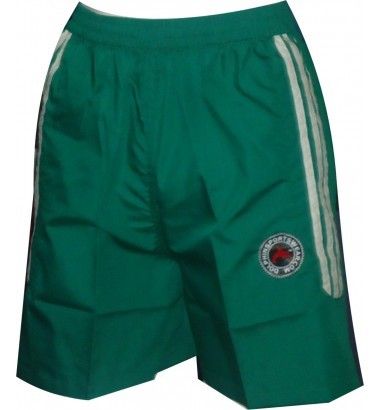 Ladies Green Shorts