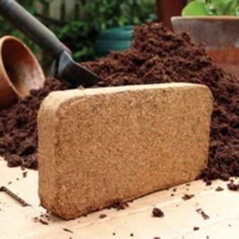 Coir Bricks