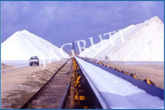 Chemical Resistant Conveyor Belt