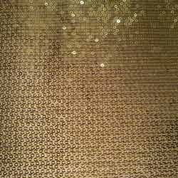Sequin Embroidery Polyester Dyed Fabric