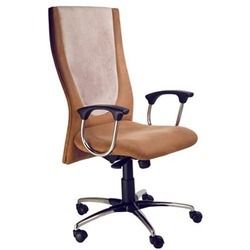 Spacious Executive Chair