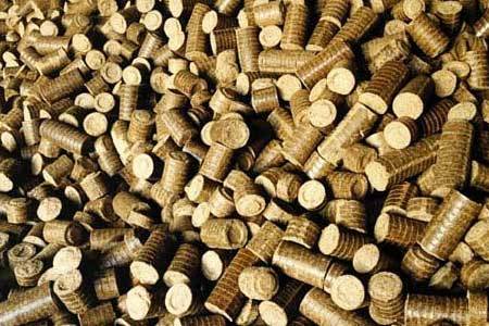 Biomass Briquette