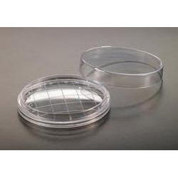 Contact Plates Microbiology