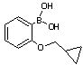 2-(Cyclopropylmethoxy)benzeneboronic acid