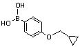 4-(Cyclopropylmethoxy)benzeneboronic acid