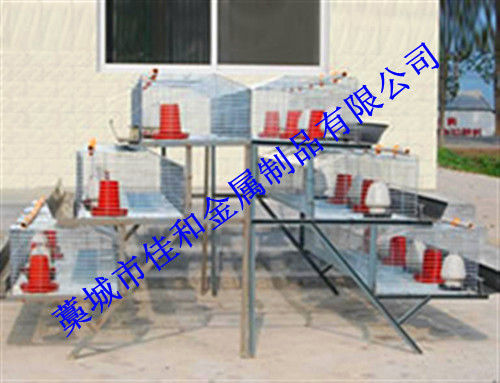 Poultry Cage - High Grade Material, Durable and Reliable Design | Excellent Quality, Widely Appreciated by Clients