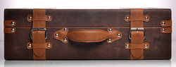 Modern Leather Trunk